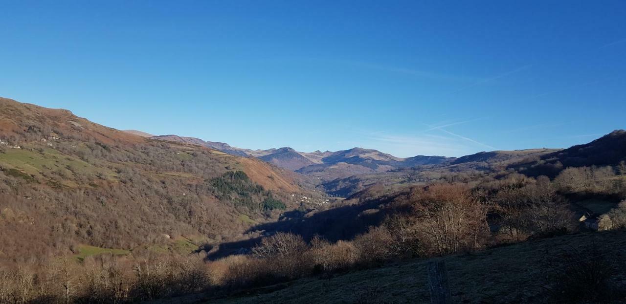 Maison Du Pays De Salers Dans Le Parc Des Volcans D'Auvergne Saint-Projet-de-Salers Екстер'єр фото